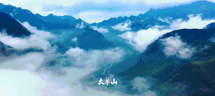 江西省人大代表刘芬:留学归来种油菜 把实验室搬进田间地头
